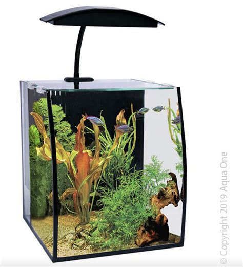 The Online Aquarium Shop .